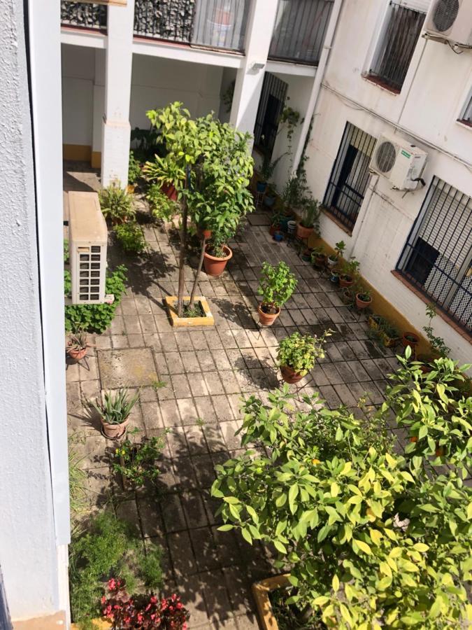 Apartamento Plaza Santa Lucia Renovado Febrero 2025 Севиля Екстериор снимка
